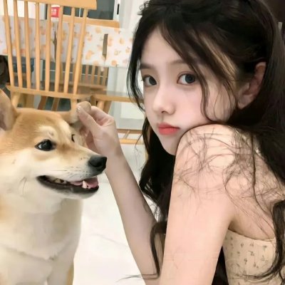 火鸟出击