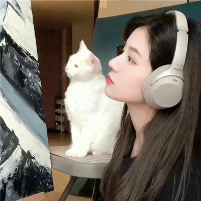 蜜熊的音乐奇旅